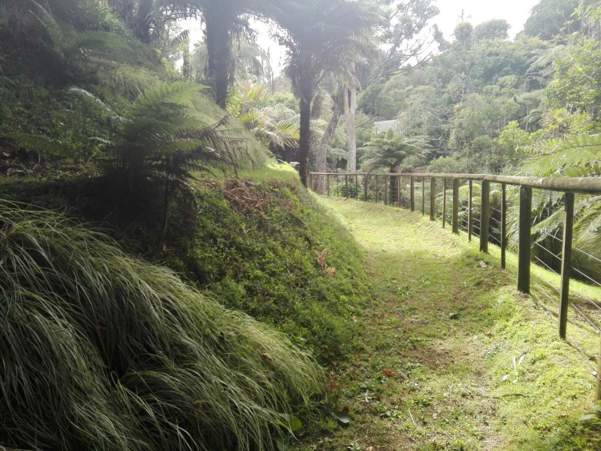 Taranaki Experience Apartman New Plymouth Kültér fotó