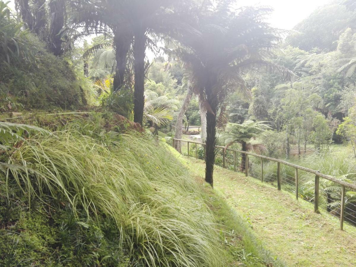 Taranaki Experience Apartman New Plymouth Kültér fotó